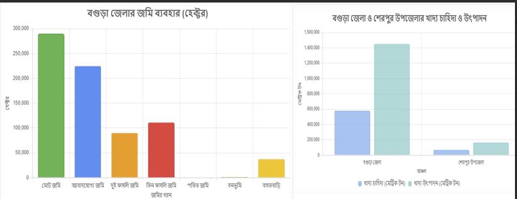 বগুড়ায় আবাদি জমি কমলেও খাদ্য উৎপাদনে স্বাবলম্বী জেলা