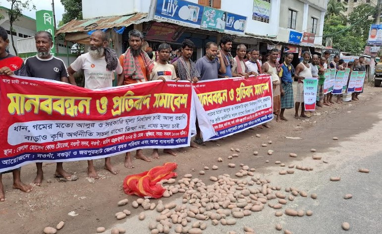 আলুর ন্যায্য মূল্য দাবিতে নওগাঁয় সড়কে আলু ফেলে কৃষকদের মানববন্ধন