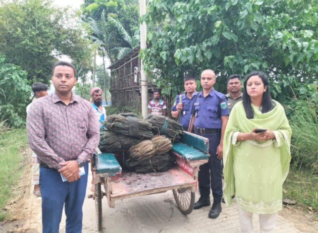 তাড়াশে দুই লক্ষাধিক টাকার চায়না দুয়ারি জাল পুড়িয়ে ধ্বংস