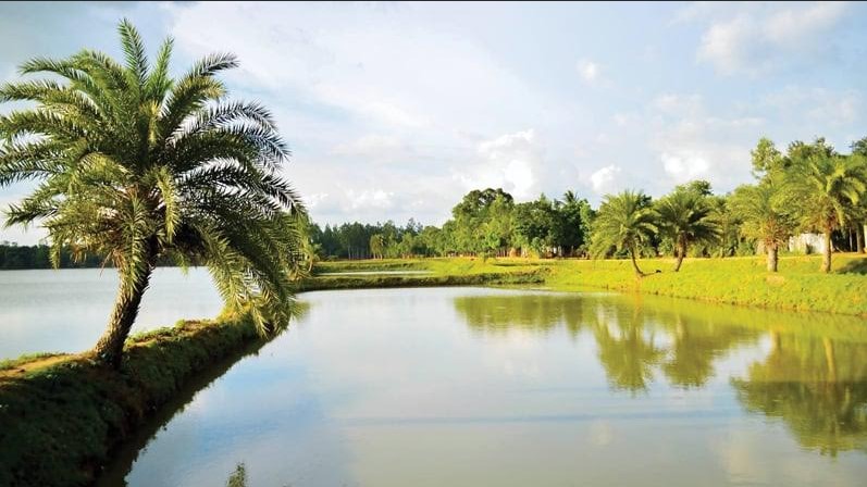 ৫০০ বছরের জয়সাগর: যেখানে যুদ্ধ, প্রেম আর প্রতিশোধ মিলেছে একজায়গায়