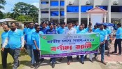 কলাপাড়ায় নানা আয়োজনে জাতীয় মৎস্য সপ্তাহ উদযাপিত 