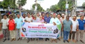 বগুড়ায় বিশ্ব আলোকচিত্র দিবস পালন