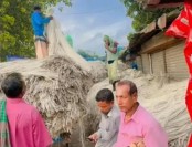 সলঙ্গায় পাট চাষে কৃষকের মুখে হাসি