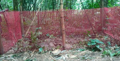 সিরাজগঞ্জে ভুয়া কাগজপত্রে ভোটার হওয়ার চেষ্টা, দুই রোহিঙ্গা দম্পতি আটক