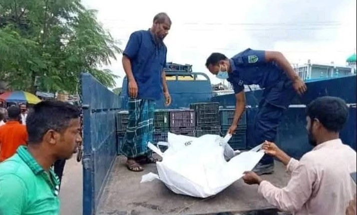 শাজাহানপুরে বাসচাপায় ভিক্ষুক বৃদ্ধার মর্মান্তিক মৃত্যু