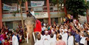 হাতির পিঠে চড়ে বিদায় জানানো হলো ছাইহাটা ডিগ্রি কলেজের অধ্যক্ষ মোঃ আওরঙ্গজেব স্বপনকে