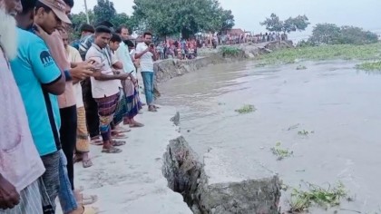 যমুনার গর্জনে গ্রাস হচ্ছে শহরাবাড়ি ঘাট - আতঙ্কে যমুনা পাড়ের মানুষ