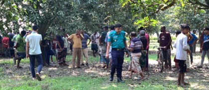 রাজশাহীতে ধানক্ষেত থেকে নারীর লাশ উদ্ধার