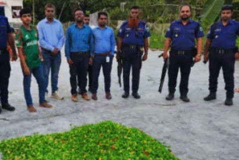 রায়গঞ্জে ভেজাল চিপস তৈরির কারখানায় অভিযান, ৫০ হাজার টাকা জরিমানা