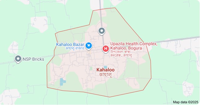 কাহালুতে সড়ক দুর্ঘটনায় বক শিকারীর মৃত্যু