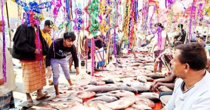 নবান্ন উপলক্ষে বগুড়ায় বিশাল মাছের মেলা