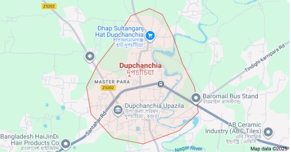 বগুড়ায় ঋণের বোঝা সহ্য করতে না পেরে প্রাণ দিলেন গৃহবধূ