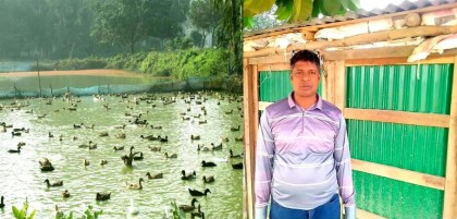 হাঁসেই সফলতার স্বপ্ন দেখছেন দুপচাঁচিয়ার বাবু