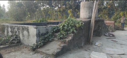 তারাগঞ্জে খাদ্য বিভাগে চাল সংগ্রহে অনিয়মের অভিযোগ, বন্ধ মিল দেখিয়ে বরাদ্দ ও নিম্নমানের চাল সরবরাহ