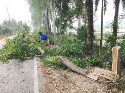 গাছ ফেলে পথরোধ করে ইজিবাইক ছিনতাই, চালককে বেঁধে ফেলে রেখে পালাল দুর্বৃত্তরা