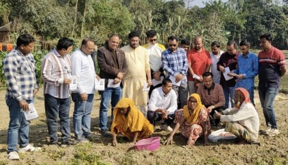 বগুড়া ধুনটে ধানের শীষে ভোট চেয়ে 
যুবদল সম্পাদক হাসানের গণসংযোগ