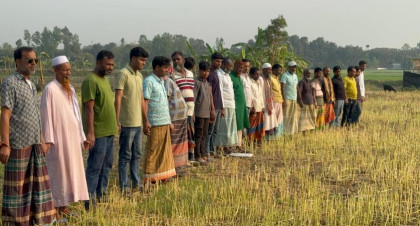 সিংড়ায় জমি নিয়ে বিরোধের জেরে কৃষকের আবাদকৃত সরিষা কেটে নিল প্রতিপক্ষ