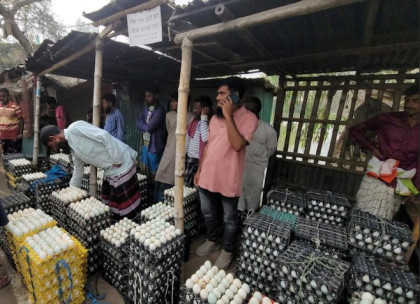 সিংড়ায় হাঁসের ডিমের দামে ধস, দিশেহারা খামারিরা