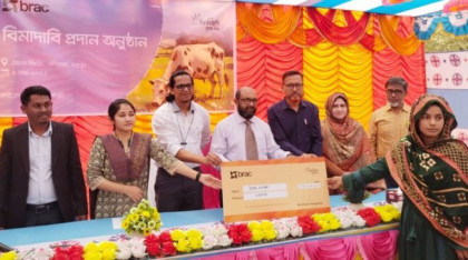 বগুড়ায় প্রথমবার গবাদিপ্রাণীর বীমা দাবির টাকা পেলেন খামারি