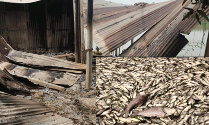 দুপচাঁচিয়ায় লিজ নেওয়া পুকুরে বিষ প্রয়োগ, খাদ্যগুদামে অগ্নিসংযোগ