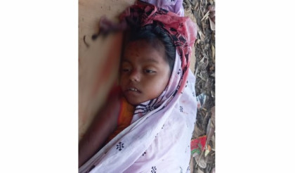 বগুড়ার আদমদীঘিতে ট্রাকের ধাক্কায় প্রাণ গেল শিশু কন্যা হাবীবার