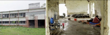 আজিজুল হক কলেজের হলে ‘শুকর পালন’, আবাসন সংকটে শিক্ষার্থীরা