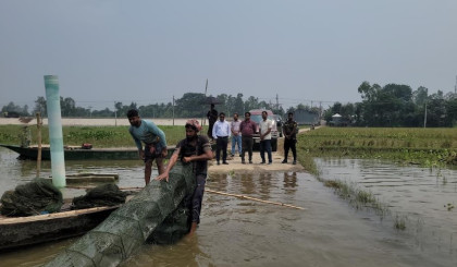 সিংড়ায় অবৈধ চায়না দুয়ারী জাল জব্দ পুড়িয়ে ধ্বংস