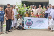 সলঙ্গায় বিশ্ব পরিবেশ দিবস পালিত
