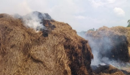 নন্দীগ্রামে মধ্যরাতে কৃষকের ৫ খড়ের পালায় আগুন, আড়াই লাখ টাকার ক্ষতি