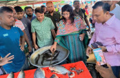 কাহালুতে নিষিদ্ধ পিরানহা মাছ বিক্রি, ব্যবসায়ীকে ৫ হাজার টাকা জরিমানা