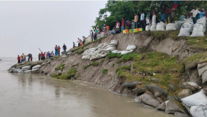 ধুনটে যমুনার ভয়াবহ ভাঙন, শহরাবাড়ি স্পারের আরও ৩০ মিটার নদীগর্ভে বিলীন
