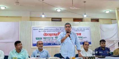 দেশে তুলার উৎপাদন বাড়াতে সরকার কাজ করছে: প্রতিমন্ত্রী মীর শাহে আলম
