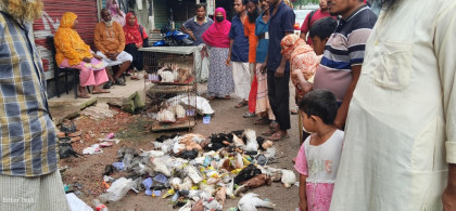বগুড়ায় আগুনে পুড়ে ছাই ‘মা-বাবার দোয়া’ পাখির দোকান, নিঃস্ব ব্যবসায়ী