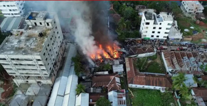 ভিমরুলের বাসা পোড়াতে গিয়ে কোটি টাকা পুড়ে ছাই